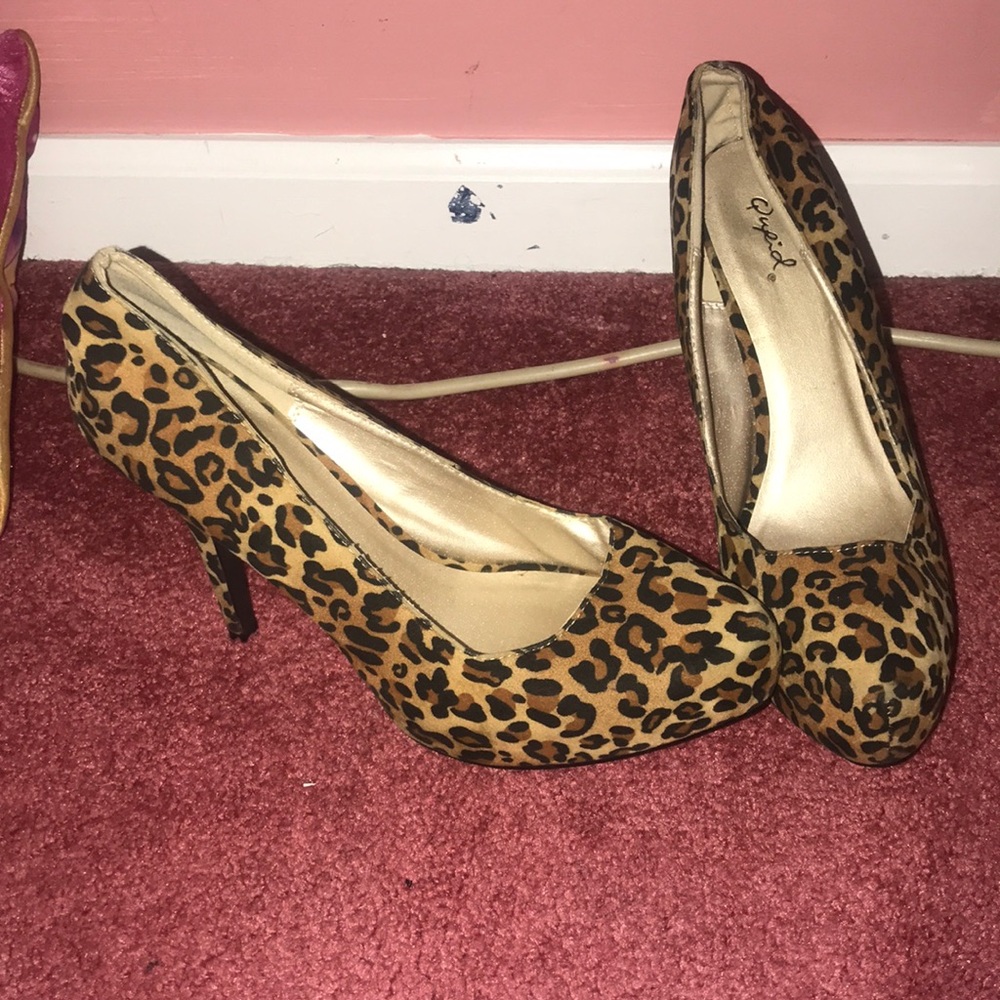 Cheetah pumps
